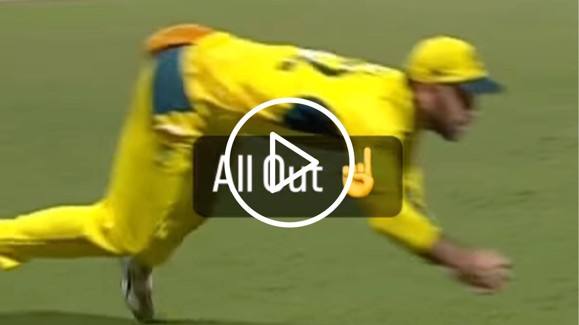 [Watch] Glenn Maxwell Redefines Gravity, Takes Unbelievable Grab Diving Near Boundary